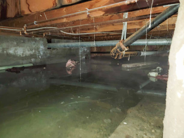 Best Commercial water damage restoration  in Waynesburg, OH