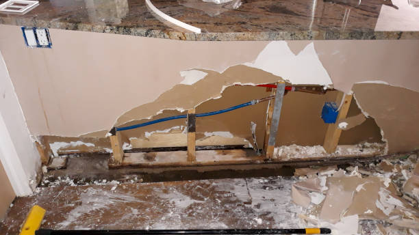 Best Fire Damage Restoration  in Waynesburg, OH