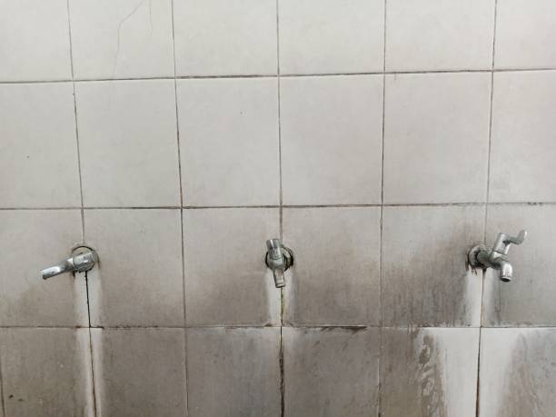 Best Water damage restoration near me  in Waynesburg, OH