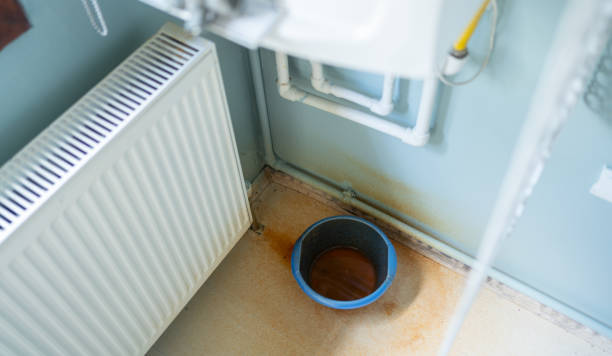 Best Professional water damage repair  in Waynesburg, OH